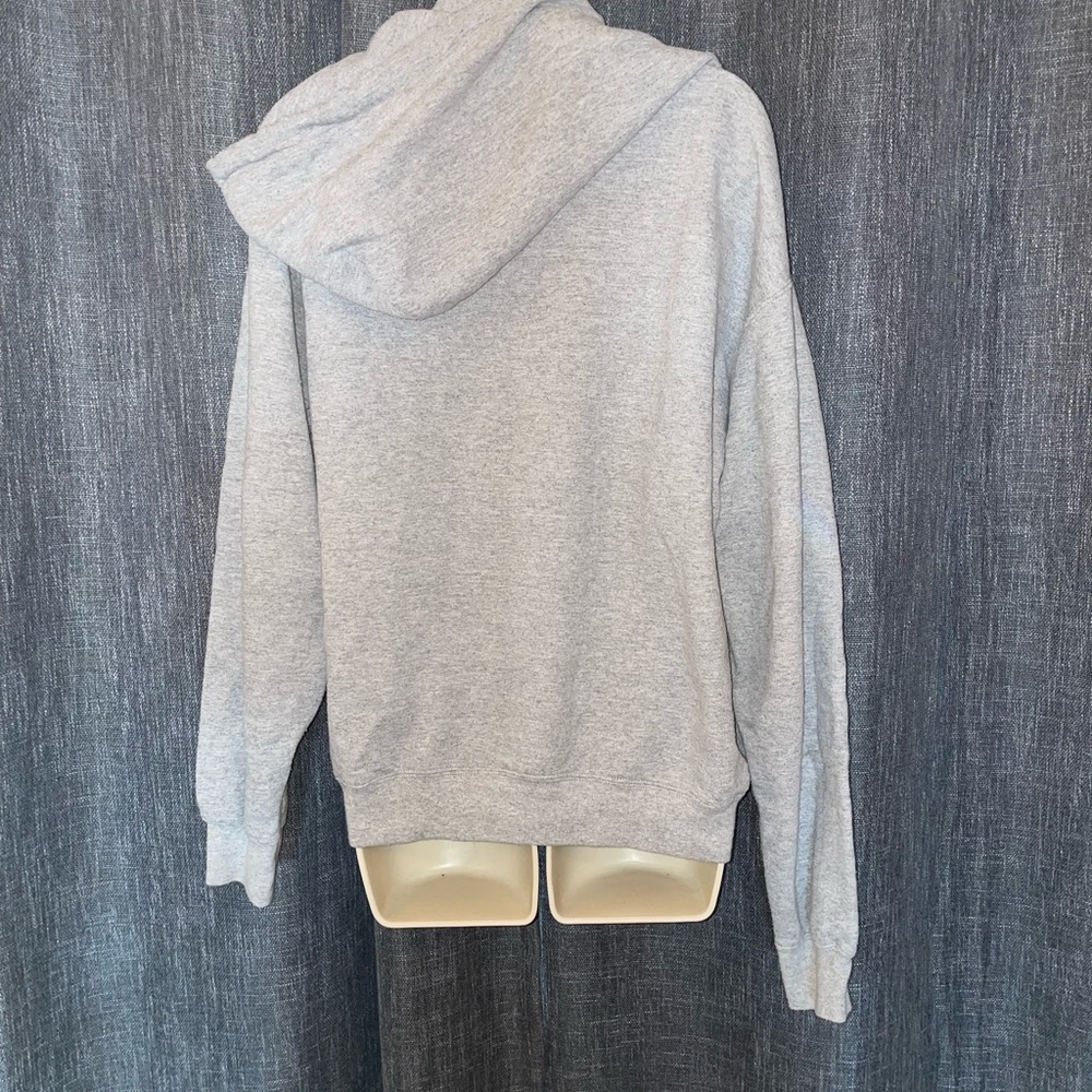 SAUCY STATUS CLOTHING HOODIE - Picture 3 of 4